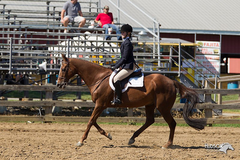 4H-3rd-Show-11_1636.jpg