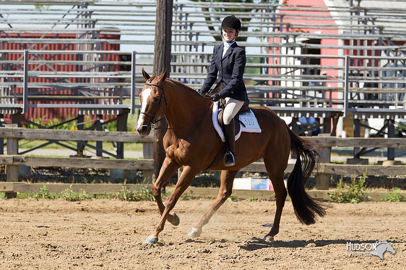 4H-3rd-Show-11_1637.jpg