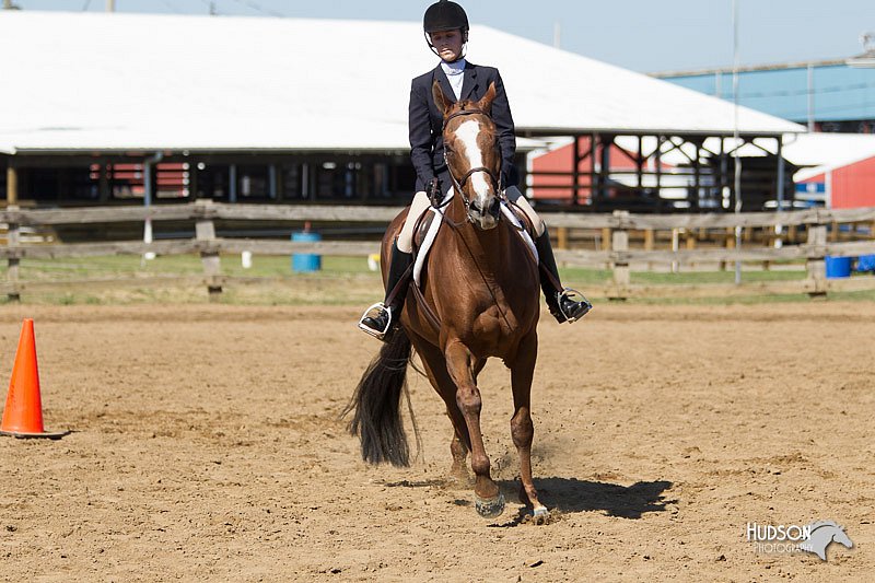 4H-3rd-Show-11_1640.jpg