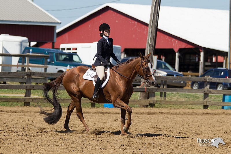 4H-3rd-Show-11_1641.jpg