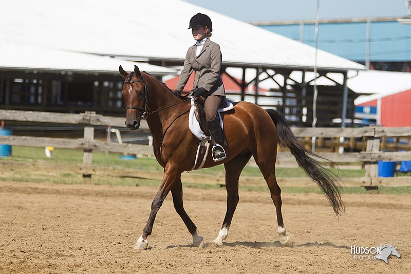 4H-3rd-Show-11_1651.jpg