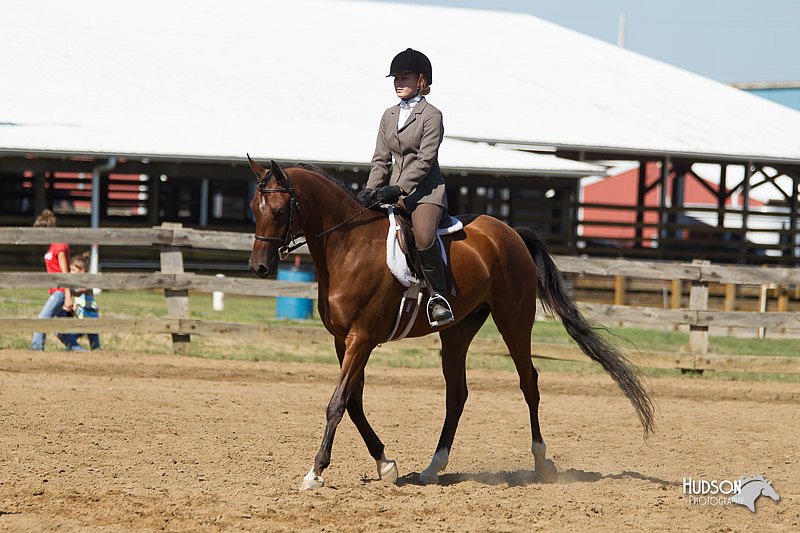 4H-3rd-Show-11_1652.jpg