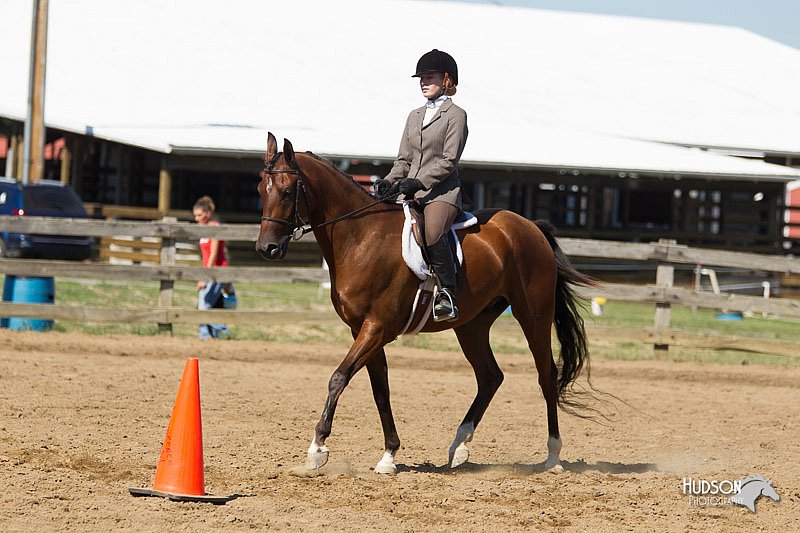 4H-3rd-Show-11_1653.jpg