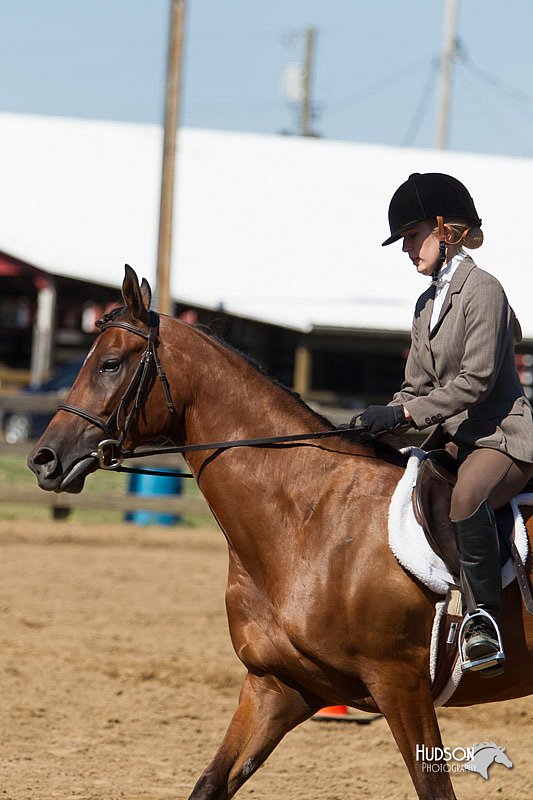 4H-3rd-Show-11_1655.jpg