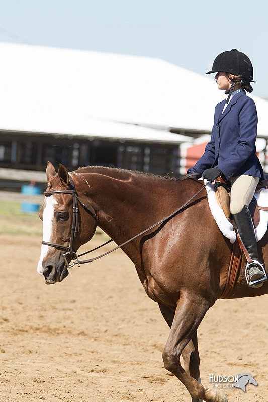 4H-3rd-Show-11_1660.jpg