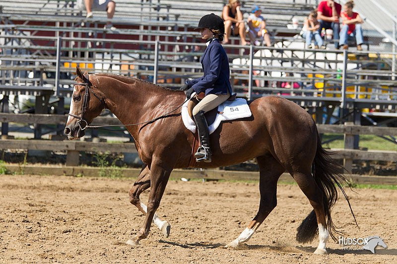4H-3rd-Show-11_1662.jpg