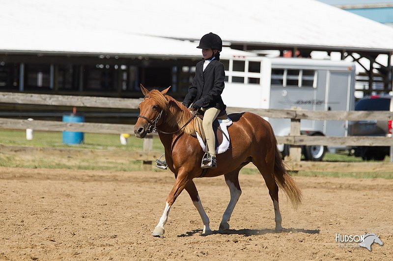 4H-3rd-Show-11_1663.jpg