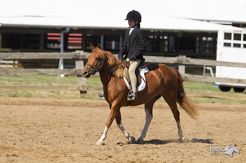 4H-3rd-Show-11_1664.jpg