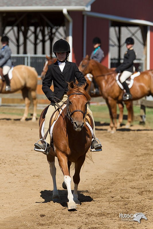 4H-3rd-Show-11_1665.jpg