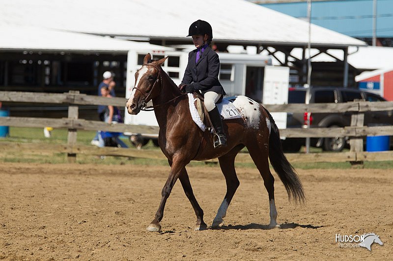4H-3rd-Show-11_1669.jpg
