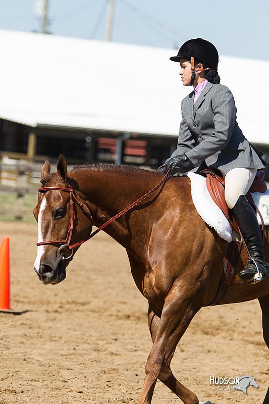 4H-3rd-Show-11_1675.jpg
