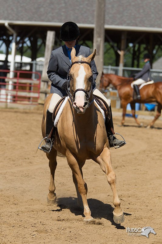 4H-3rd-Show-11_1678.jpg