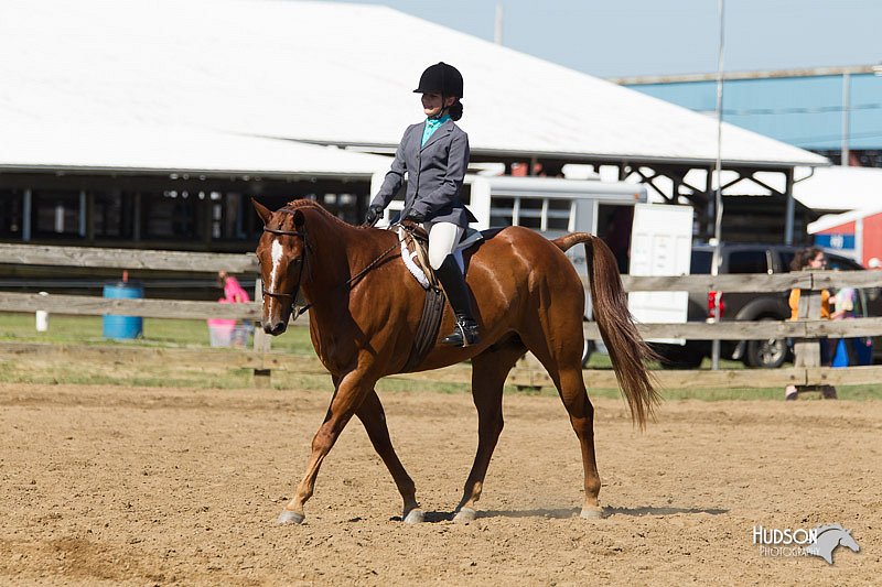 4H-3rd-Show-11_1681.jpg