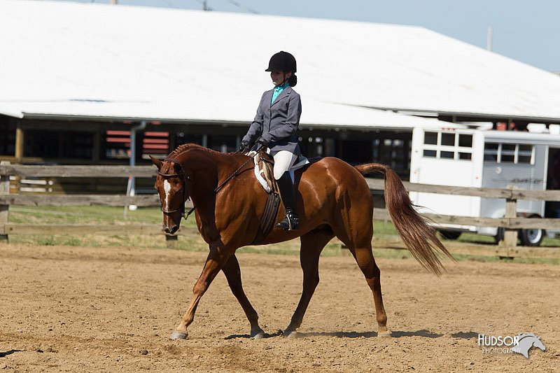 4H-3rd-Show-11_1682.jpg