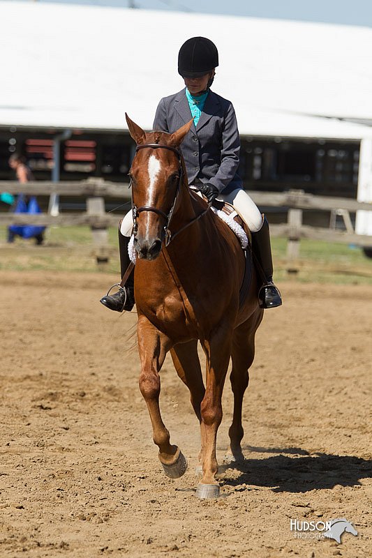 4H-3rd-Show-11_1684.jpg