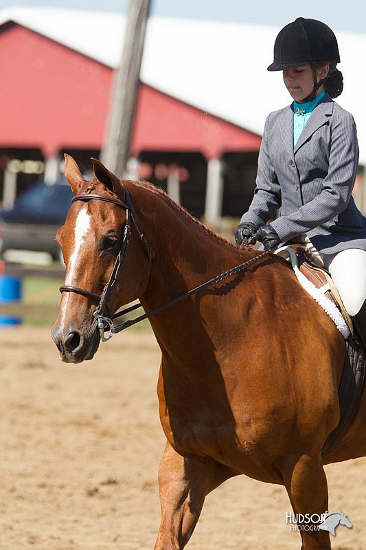4H-3rd-Show-11_1685.jpg