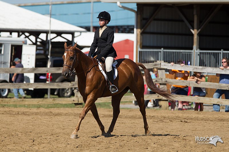 4H-3rd-Show-11_1688.jpg