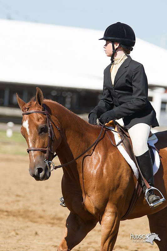 4H-3rd-Show-11_1694.jpg
