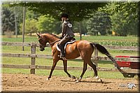 4H-3rd-Show-11_1046.jpg