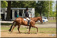 4H-3rd-Show-11_1078.jpg