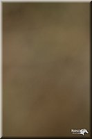 4H-3rd-Show-11_1085.jpg