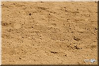 4H-3rd-Show-11_1112.jpg