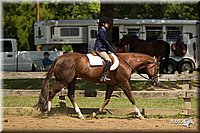 4H-3rd-Show-11_1126.jpg