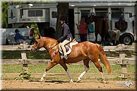 4H-3rd-Show-11_1137.jpg