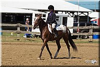4H-3rd-Show-11_1669.jpg