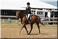 4H-3rd-Show-11_1689.jpg