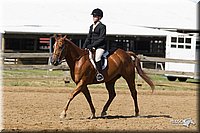 4H-3rd-Show-11_1690.jpg