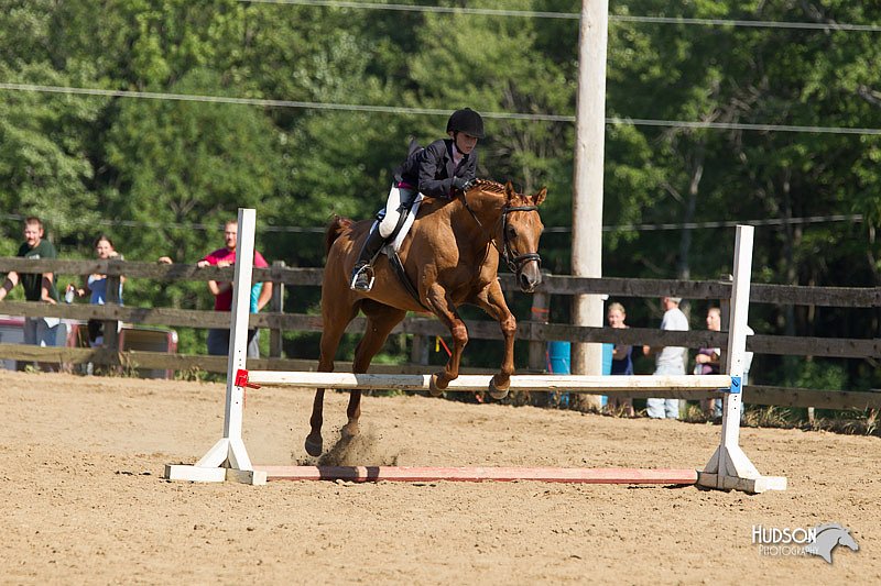 4H-3rd-Show-11_1705.jpg