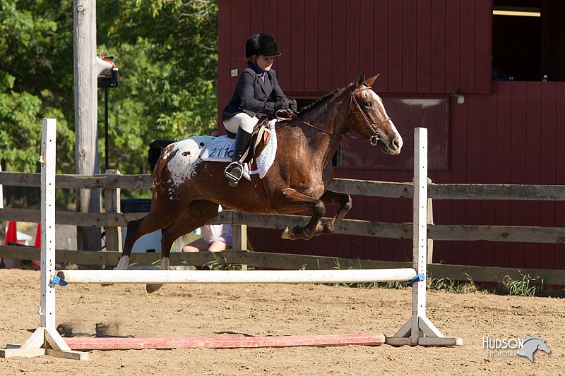 4H-3rd-Show-11_1710.jpg