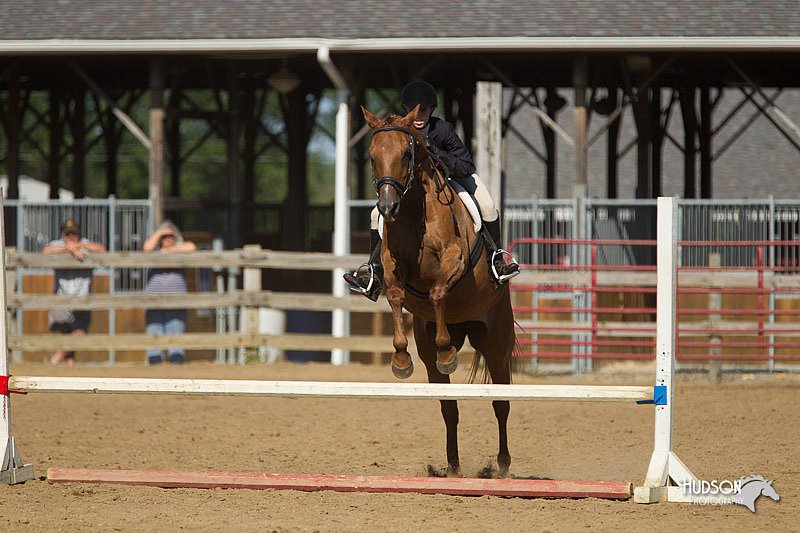 4H-3rd-Show-11_1716.jpg