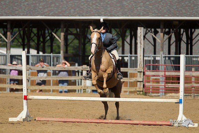 4H-3rd-Show-11_1718.jpg