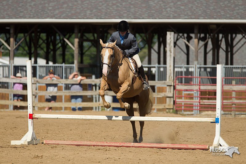 4H-3rd-Show-11_1719.jpg