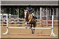 4H-3rd-Show-11_1719.jpg