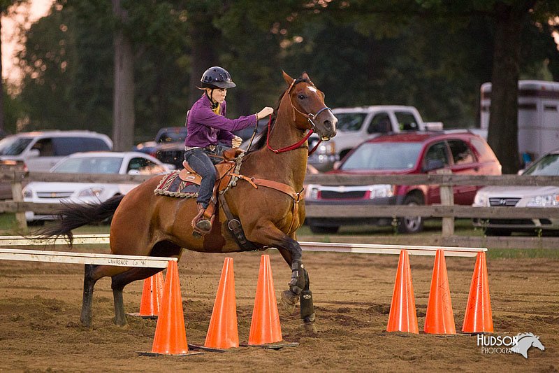4H-3rd-Show-11_0501.jpg
