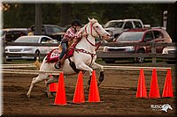4H-3rd-Show-11_0391.jpg