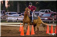 4H-3rd-Show-11_0514.jpg