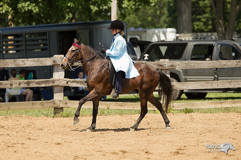 4H-3rd-Show-11_1217.jpg