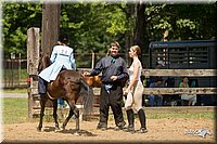 4H-3rd-Show-11_1224.jpg