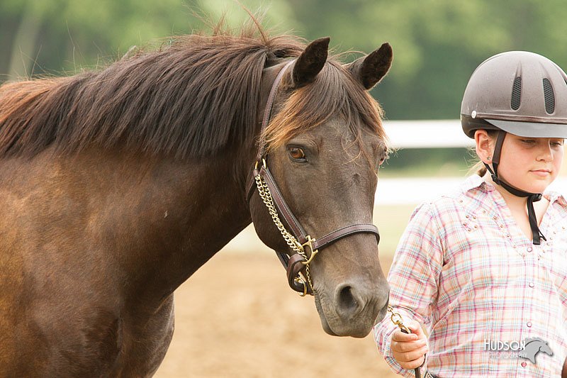 4H-3rd-Show-11_0056.jpg