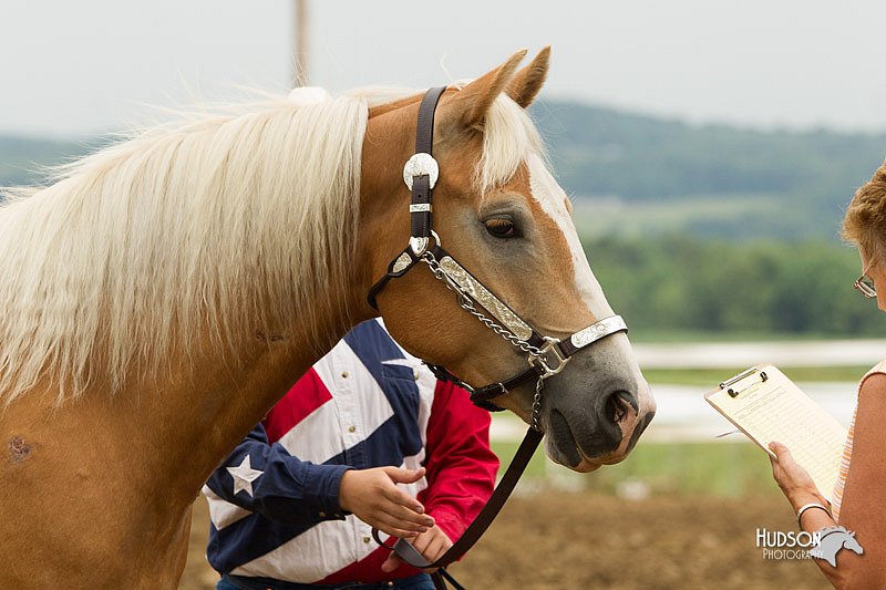 4H-3rd-Show-11_0076.jpg