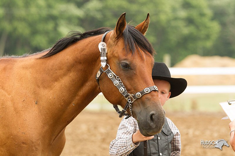 4H-3rd-Show-11_0089.jpg