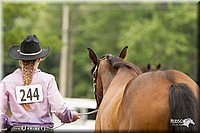 4H-3rd-Show-11_0053.jpg