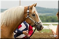 4H-3rd-Show-11_0076.jpg