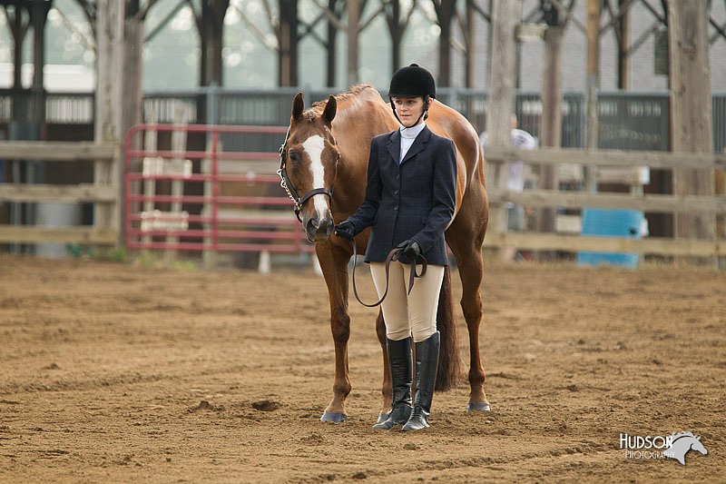 4H-3rd-Show-11_0790.jpg