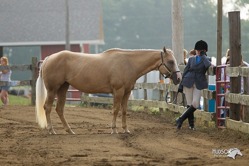 4H-3rd-Show-11_0815.jpg