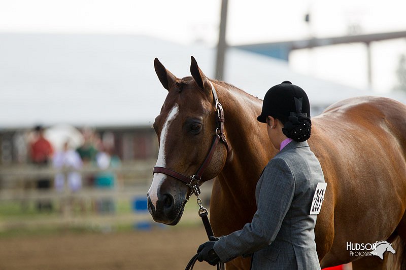 4H-3rd-Show-11_0817.jpg